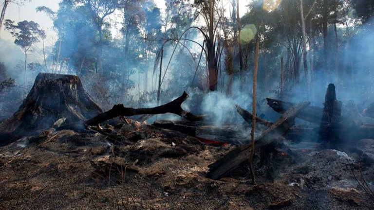 Grupo usou WhatsApp para planejar incêndios – PF investigará, afirma Moro