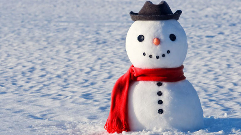 Boneco de Neve Politicamente Correto