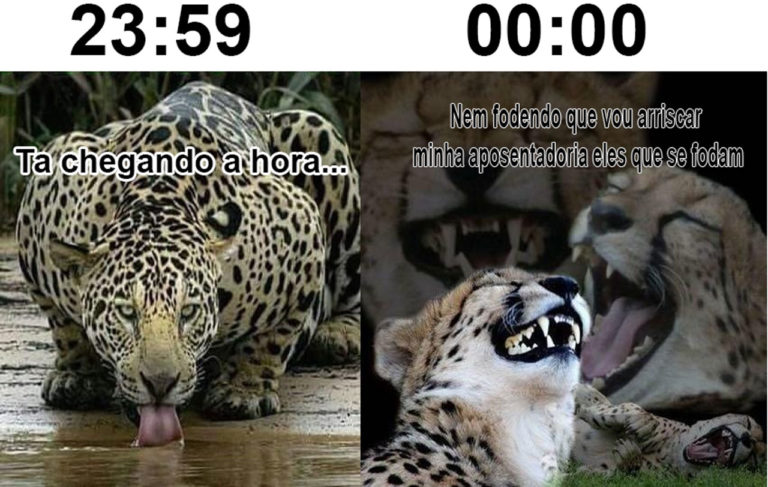 Boteco Muquirana da Onça Bebendo Água