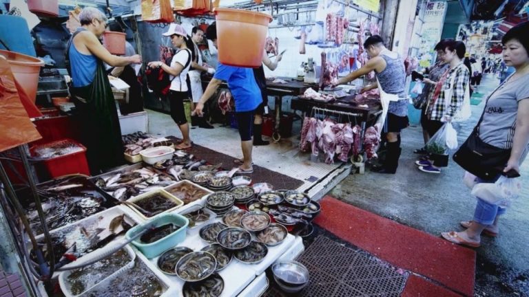 Estudos sugerem que covid-19 surgiu em mercado de Wuhan, na China