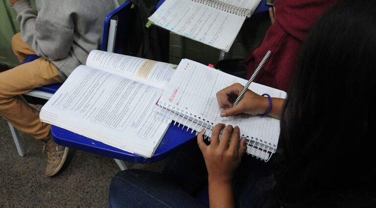 3 a cada 10 brasileiros são analfabetos funcionais, indica pesquisa; patamar é o mesmo de 2018