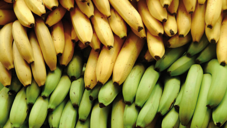 Bananas ao Vento