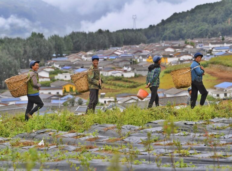 Um País, dois Problemas